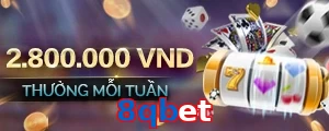 8qbet